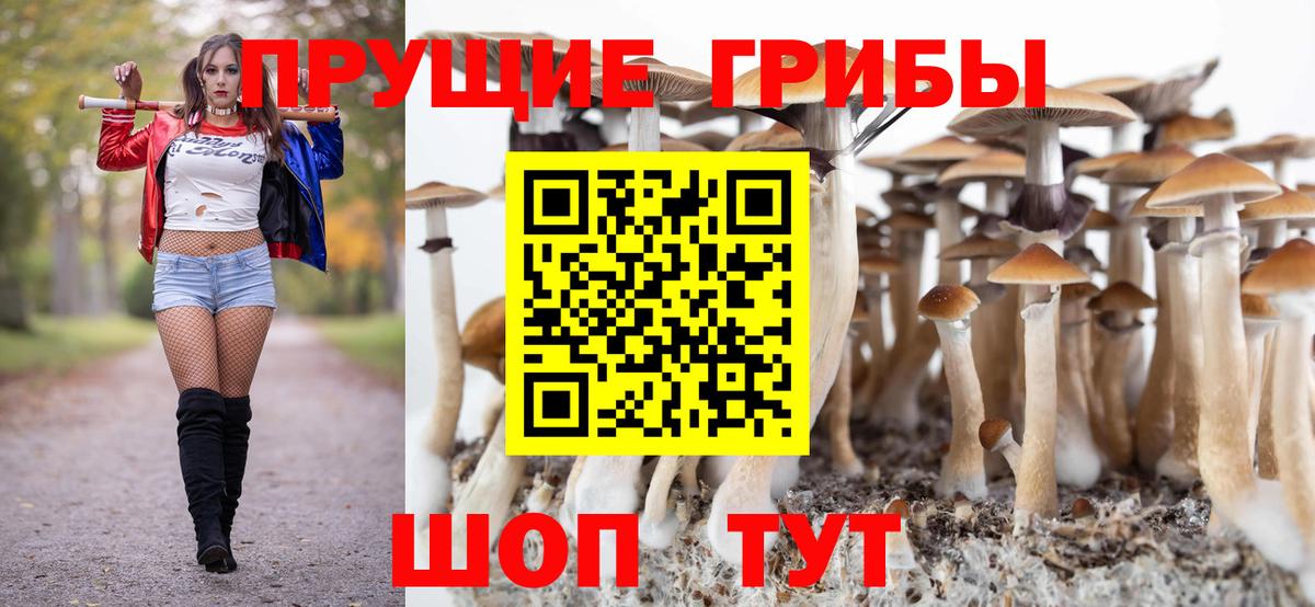 Псилоцибиновые грибы мицелий Бийск
