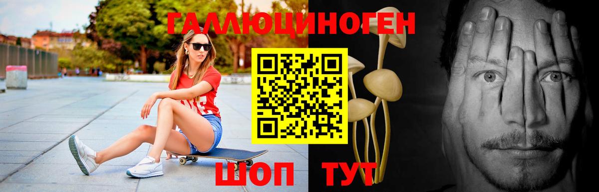 Бийск  Галлюциногенные грибы Psilocybe  Вход с VPN  Галлюциногенные грибы Psilocybine cubensis 